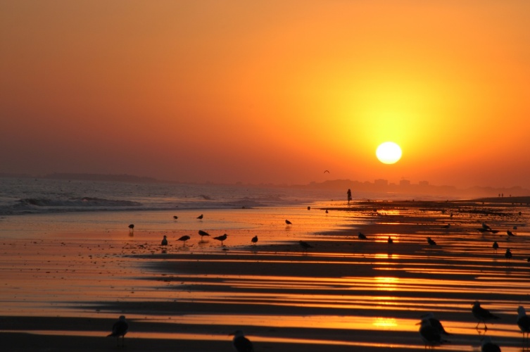 Ático en venta en Urb. Hacienda Golf, Islantilla Golf
immobilier civitis