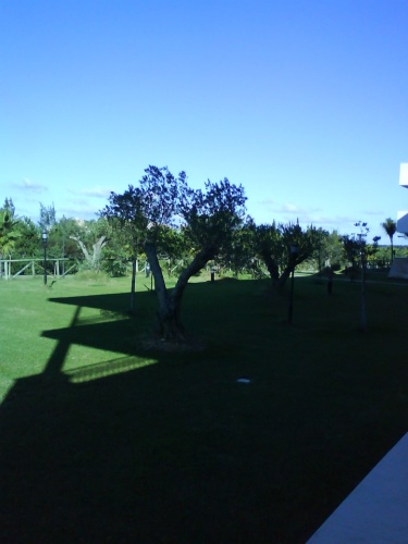 Piso en venta en El Rompido
immobilier civitis